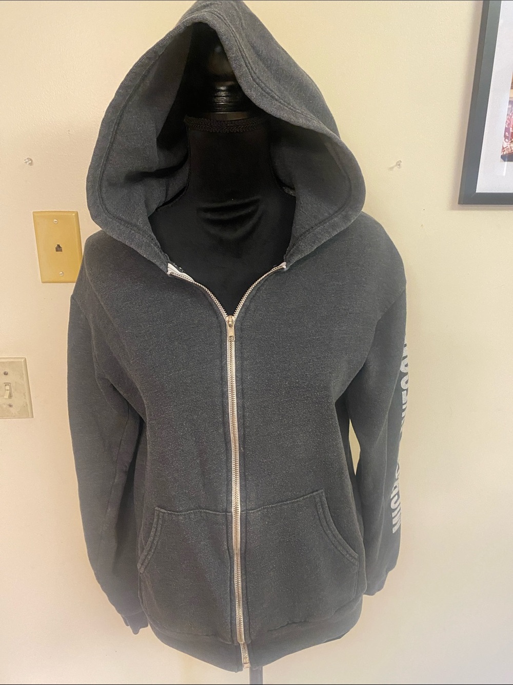 American Apparel Vintage Michigan Awesome Graphic Full-Zip Hoodie Size M